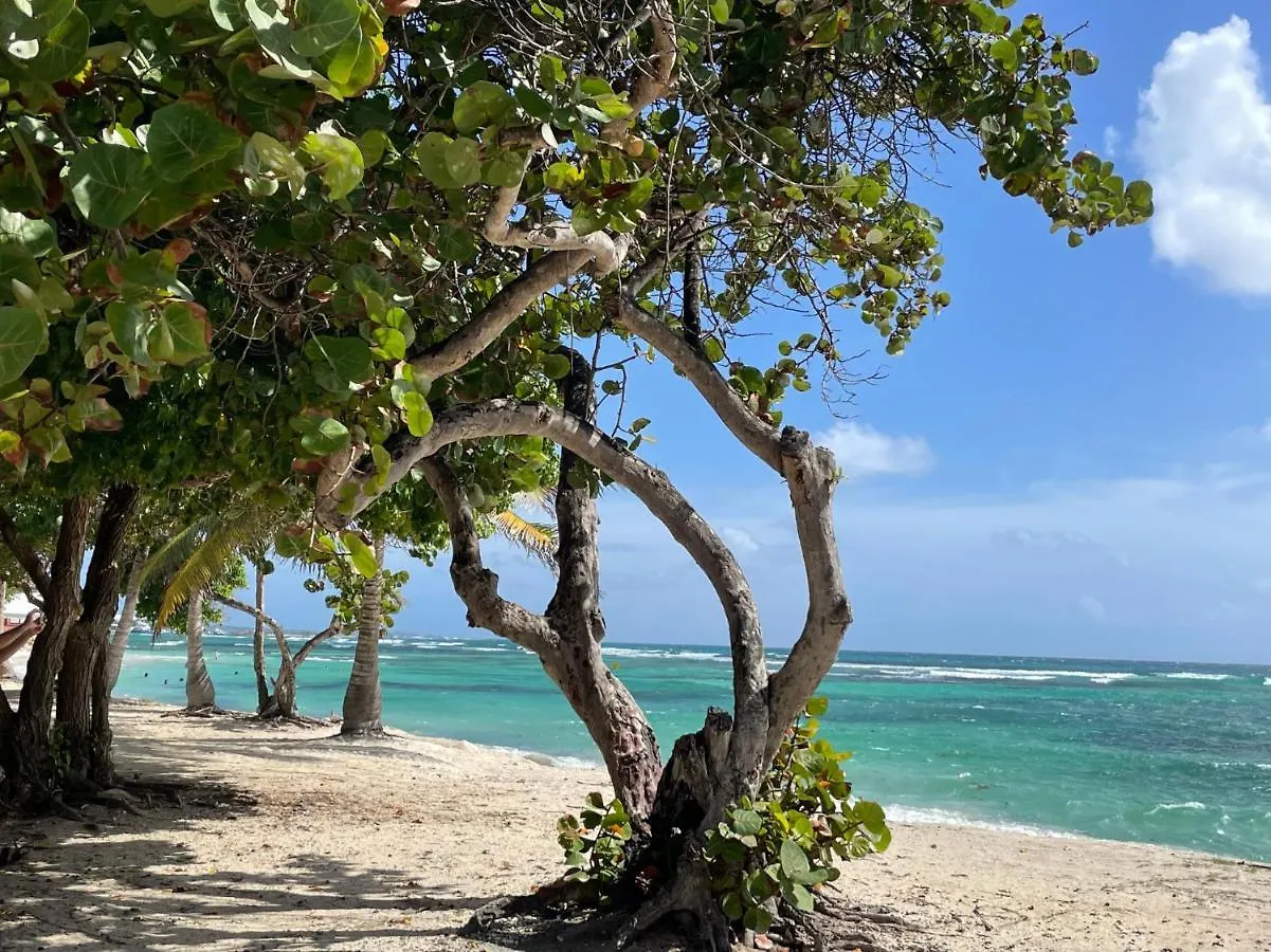 Joli T3 75M2 Bord De Mer Residence Crystal Beach Saint Francois Guadeloupe